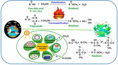 Research Progress on the Photo-Driven Catalytic Production of Biodiesel